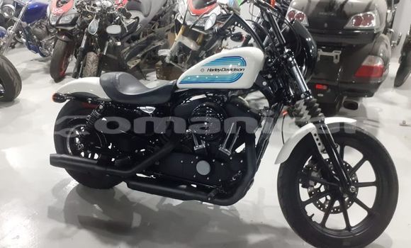 Buy Used Harley Davidson Sportster White Bike in Muscat in Masqat