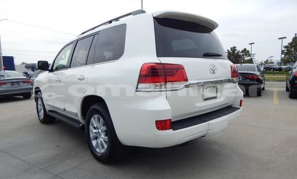 Buy Used Toyota Land Cruiser White Car in Suhar in al-Batinah Buy Used Toyota Land Cruiser White Car in Suhar in al-Batinah