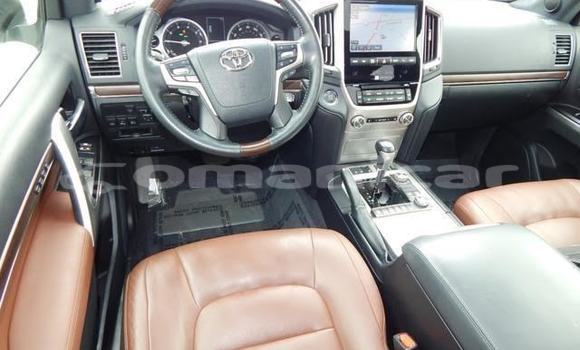 Buy Used Toyota Land Cruiser White Car in Suhar in al-Batinah Buy Used Toyota Land Cruiser White Car in Suhar in al-Batinah