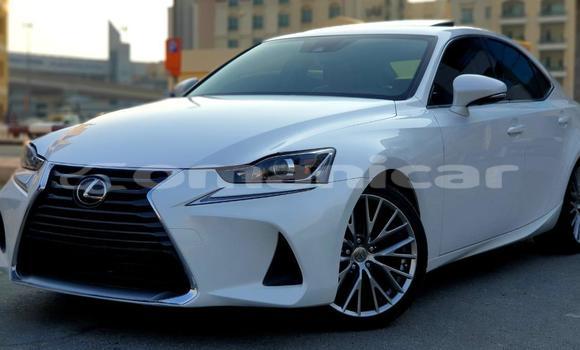 Buy Used Lexus IS White Car in Muscat in Masqat Buy Used Lexus IS White Car in Muscat in Masqat