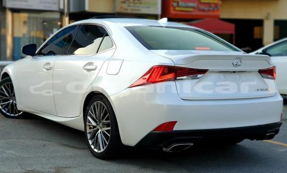 Buy Used Lexus IS White Car in Muscat in Masqat Buy Used Lexus IS White Car in Muscat in Masqat