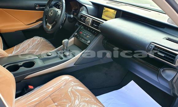 Buy Used Lexus IS White Car in Muscat in Masqat Buy Used Lexus IS White Car in Muscat in Masqat