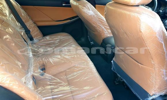 Buy Used Lexus IS White Car in Muscat in Masqat Buy Used Lexus IS White Car in Muscat in Masqat