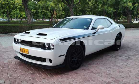 Buy Used Dodge Challenger White Car in Al khuwair in al-Batinah Buy Used Dodge Challenger White Car in Al khuwair in al-Batinah