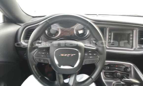 Buy Used Dodge Challenger White Car in Al khuwair in al-Batinah Buy Used Dodge Challenger White Car in Al khuwair in al-Batinah