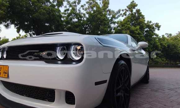 Buy Used Dodge Challenger White Car in Al khuwair in al-Batinah Buy Used Dodge Challenger White Car in Al khuwair in al-Batinah