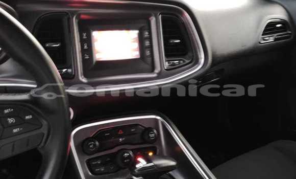 Buy Used Dodge Challenger White Car in Al khuwair in al-Batinah Buy Used Dodge Challenger White Car in Al khuwair in al-Batinah