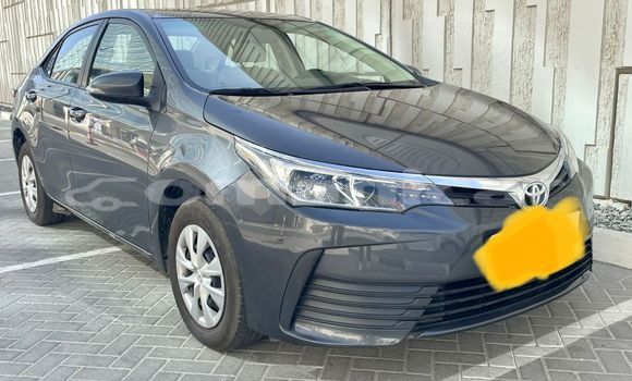Buy Used Toyota Corolla Other Car in al–Khaburah in al-Batinah Buy Used Toyota Corolla Other Car in al–Khaburah in al-Batinah