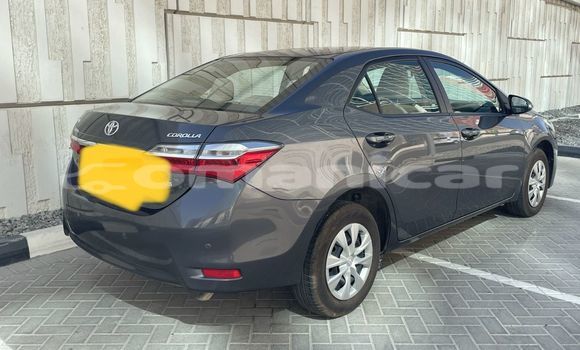 Buy Used Toyota Corolla Other Car in al–Khaburah in al-Batinah Buy Used Toyota Corolla Other Car in al–Khaburah in al-Batinah