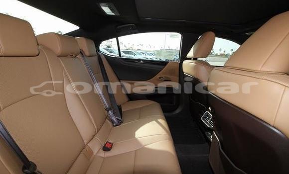 Buy Used Lexus ES White Car in Muscat in Masqat Buy Used Lexus ES White Car in Muscat in Masqat