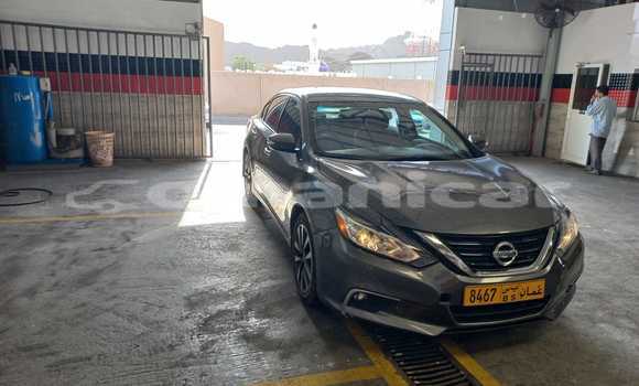 Buy Used Nissan Altima Beige Car in Muscat in Masqat Buy Used Nissan Altima Beige Car in Muscat in Masqat