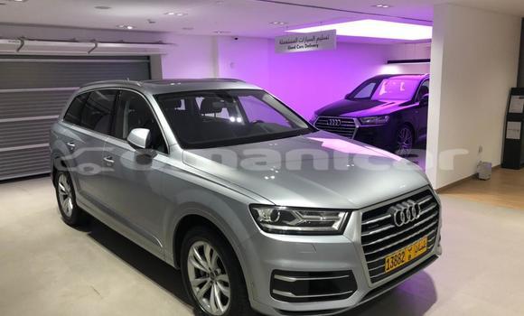 Buy Used Audi Q7 Silver Car in Masqat in Masqat