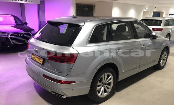 Buy Used Audi Q7 Silver Car in Masqat in Masqat Buy Used Audi Q7 Silver Car in Masqat in Masqat