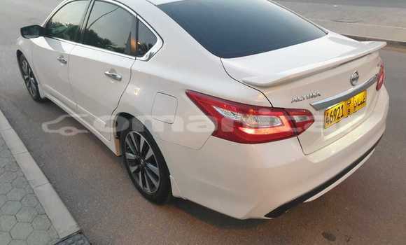 Buy Used Nissan Altima White Car in Muscat in Masqat Buy Used Nissan Altima White Car in Muscat in Masqat