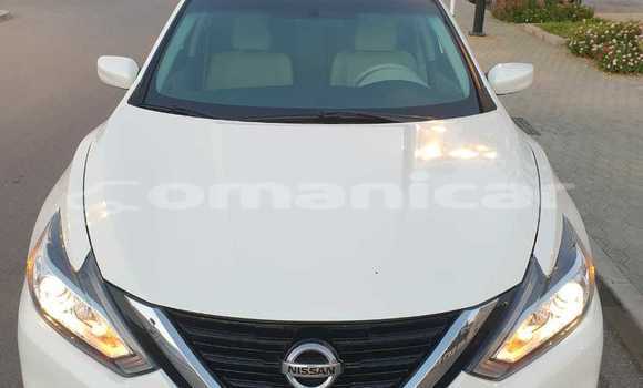 Buy Used Nissan Altima White Car in Muscat in Masqat Buy Used Nissan Altima White Car in Muscat in Masqat