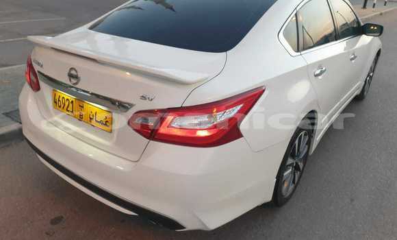 Buy Used Nissan Altima White Car in Muscat in Masqat Buy Used Nissan Altima White Car in Muscat in Masqat