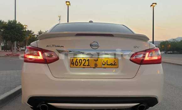 Buy Used Nissan Altima White Car in Muscat in Masqat Buy Used Nissan Altima White Car in Muscat in Masqat