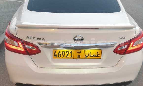 Buy Used Nissan Altima White Car in Muscat in Masqat Buy Used Nissan Altima White Car in Muscat in Masqat