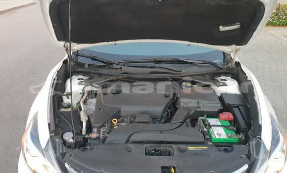 Buy Used Nissan Altima White Car in Muscat in Masqat Buy Used Nissan Altima White Car in Muscat in Masqat