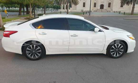 Buy Used Nissan Altima White Car in Muscat in Masqat Buy Used Nissan Altima White Car in Muscat in Masqat