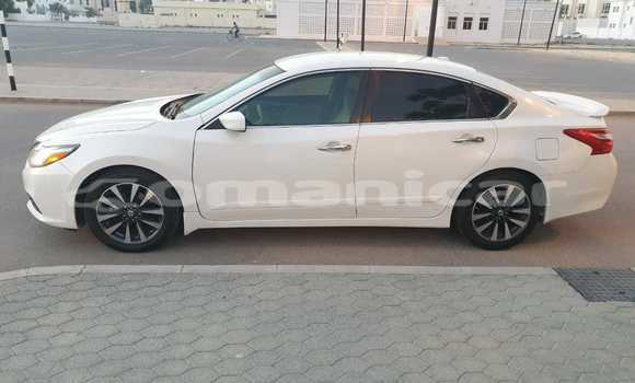 Buy Used Nissan Altima White Car in Muscat in Masqat Buy Used Nissan Altima White Car in Muscat in Masqat