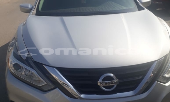 Buy Used Nissan Altima Silver Car in Qurayyat in Masqat Buy Used Nissan Altima Silver Car in Qurayyat in Masqat