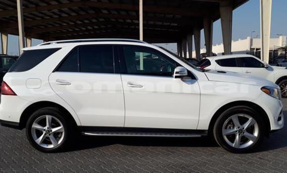 Buy Used Mercedes-Benz GLE White Car in Qurayyat in Masqat Buy Used Mercedes-Benz GLE White Car in Qurayyat in Masqat