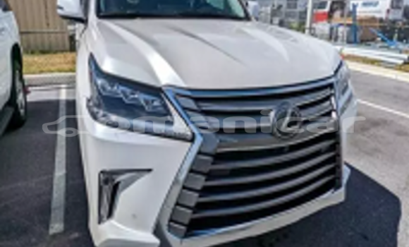 Buy Used Lexus LX White Car in al–Mudaybi in ash-Sharqiyah Buy Used Lexus LX White Car in al–Mudaybi in ash-Sharqiyah