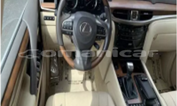 Buy Used Lexus LX White Car in al–Mudaybi in ash-Sharqiyah Buy Used Lexus LX White Car in al–Mudaybi in ash-Sharqiyah