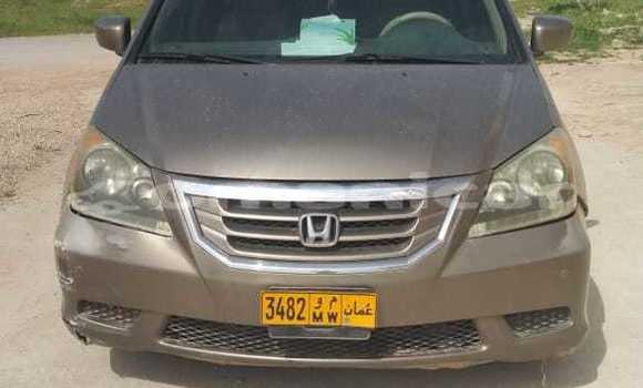 Buy Used Honda Odyssey Brown Car in Salalah in Dhufar Buy Used Honda Odyssey Brown Car in Salalah in Dhufar
