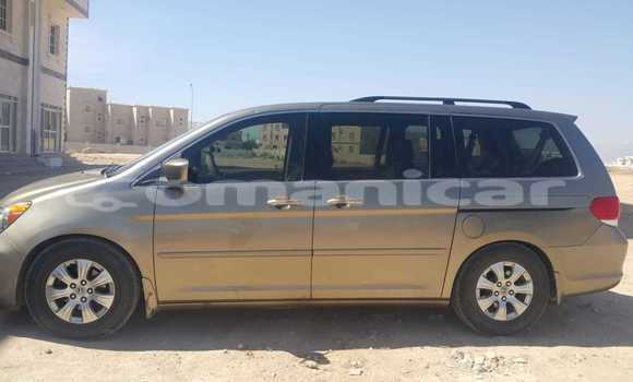 Buy Used Honda Odyssey Brown Car in Salalah in Dhufar Buy Used Honda Odyssey Brown Car in Salalah in Dhufar