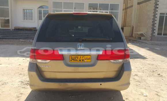 Buy Used Honda Odyssey Brown Car in Salalah in Dhufar Buy Used Honda Odyssey Brown Car in Salalah in Dhufar