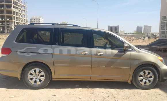 Buy Used Honda Odyssey Brown Car in Salalah in Dhufar Buy Used Honda Odyssey Brown Car in Salalah in Dhufar