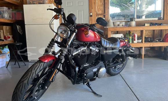 Buy Used Harley Davidson IRON Red Bike in Madinat Qabus in Masqat Buy Used Harley Davidson IRON Red Bike in Madinat Qabus in Masqat