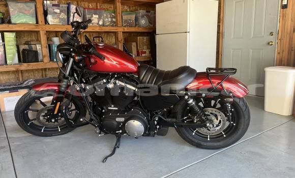 Buy Used Harley Davidson IRON Red Bike in Madinat Qabus in Masqat Buy Used Harley Davidson IRON Red Bike in Madinat Qabus in Masqat