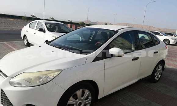 Buy Used Ford Focus White Car in Muscat in Masqat