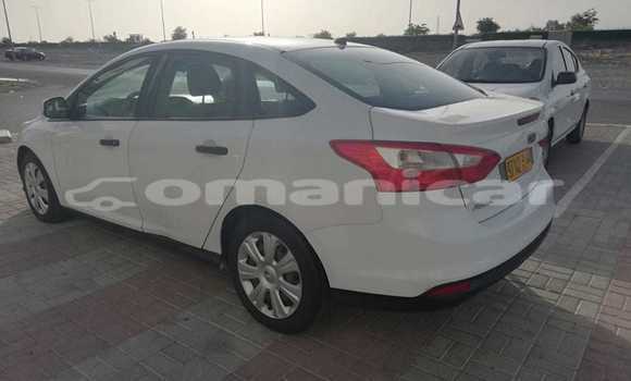 Buy Used Ford Focus White Car in Muscat in Masqat