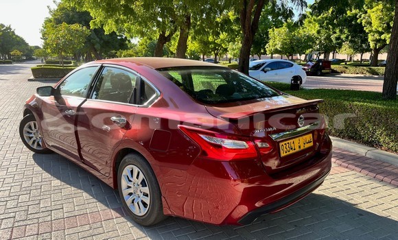 Buy Used Nissan Altima Red Car in Masqat in Masqat Buy Used Nissan Altima Red Car in Masqat in Masqat