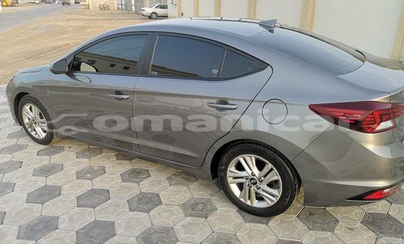 Buy Used Hyundai Elantra Other Car in Muscat in Masqat