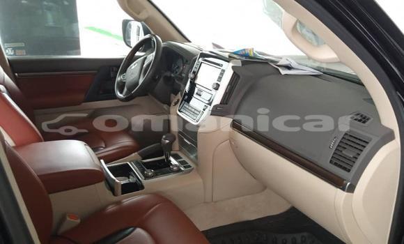 Buy Used Toyota Land Cruiser Black Car in Masqat in Masqat Buy Used Toyota Land Cruiser Black Car in Masqat in Masqat