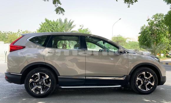 Buy Used Honda CR–V Beige Car in Azaiba in Masqat Buy Used Honda CR–V Beige Car in Azaiba in Masqat