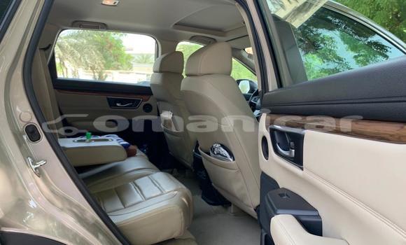 Buy Used Honda CR–V Beige Car in Azaiba in Masqat Buy Used Honda CR–V Beige Car in Azaiba in Masqat