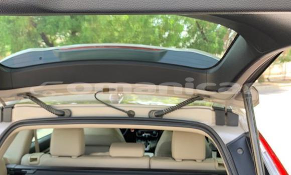 Buy Used Honda CR–V Beige Car in Azaiba in Masqat Buy Used Honda CR–V Beige Car in Azaiba in Masqat