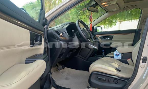 Buy Used Honda CR–V Beige Car in Azaiba in Masqat Buy Used Honda CR–V Beige Car in Azaiba in Masqat