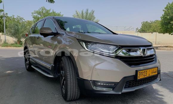 Buy Used Honda CR–V Beige Car in Azaiba in Masqat Buy Used Honda CR–V Beige Car in Azaiba in Masqat