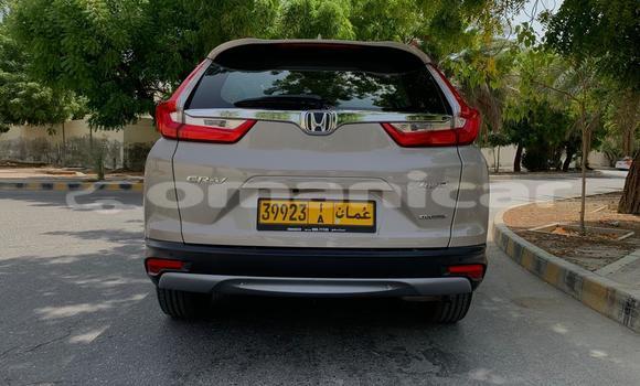 Buy Used Honda CR–V Beige Car in Azaiba in Masqat Buy Used Honda CR–V Beige Car in Azaiba in Masqat