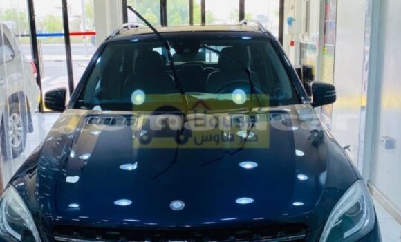 Buy New Alfa Romeo 147 Black Car in Muscat in Masqat Buy New Alfa Romeo 147 Black Car in Muscat in Masqat
