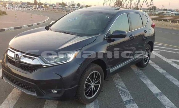 Buy Import Honda C Other Bike in Import - Dubai in Dhufar Buy Import Honda C Other Bike in Import - Dubai in Dhufar