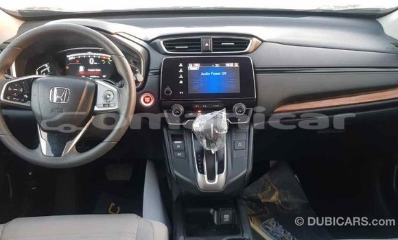 Buy Import Honda C Other Bike in Import - Dubai in Dhufar Buy Import Honda C Other Bike in Import - Dubai in Dhufar