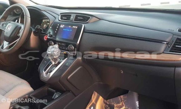 Buy Import Honda C Other Bike in Import - Dubai in Dhufar Buy Import Honda C Other Bike in Import - Dubai in Dhufar